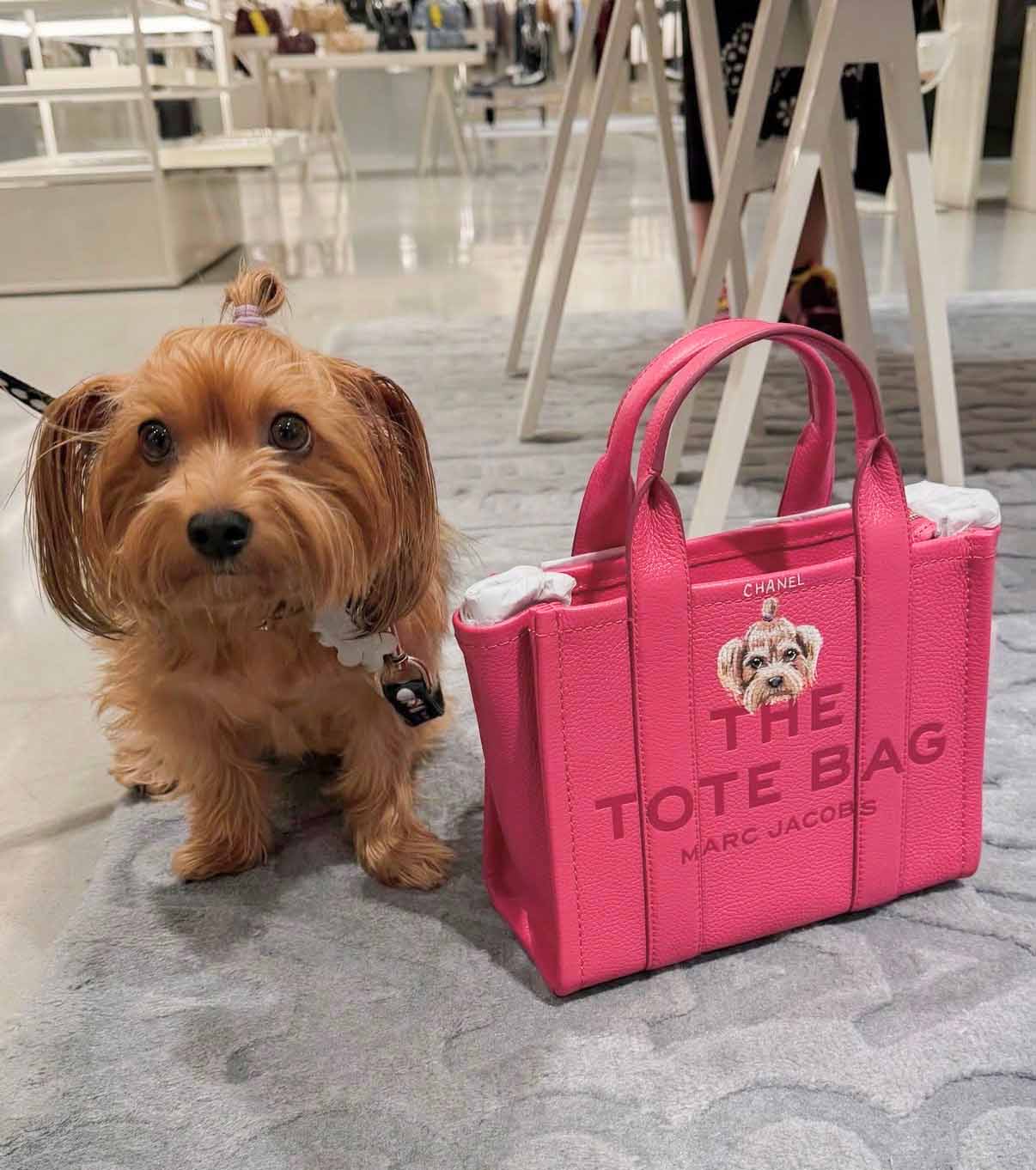 Marc Jacobs purse project